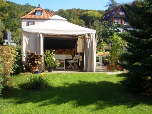 Ferienwohnung Zeus Thale Bagian luar foto